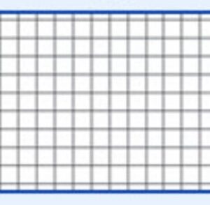 QUADERNI (10 QUADRETTI 5MM SENZA MARGINE FEMMINA)
